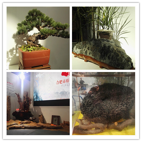 欧博abg - 官方网站登录入口