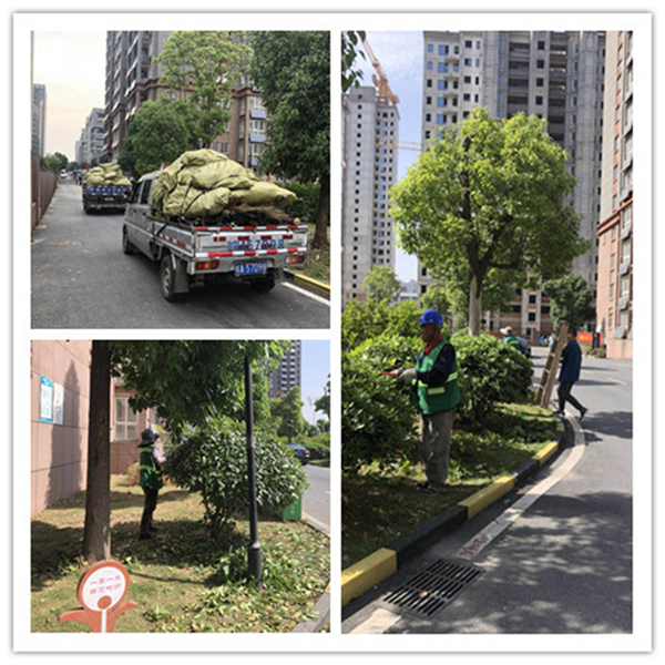 欧博abg - 官方网站登录入口