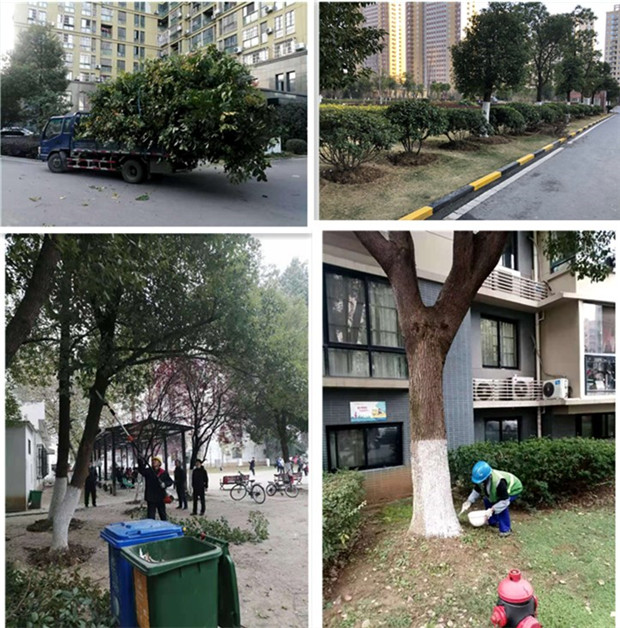 欧博abg - 官方网站登录入口