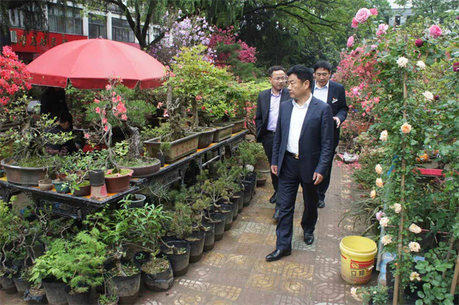 欧博abg - 官方网站登录入口