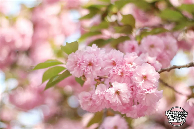 欧博abg - 官方网站登录入口