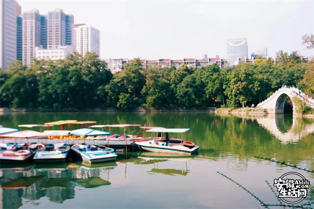 欧博abg - 官方网站登录入口