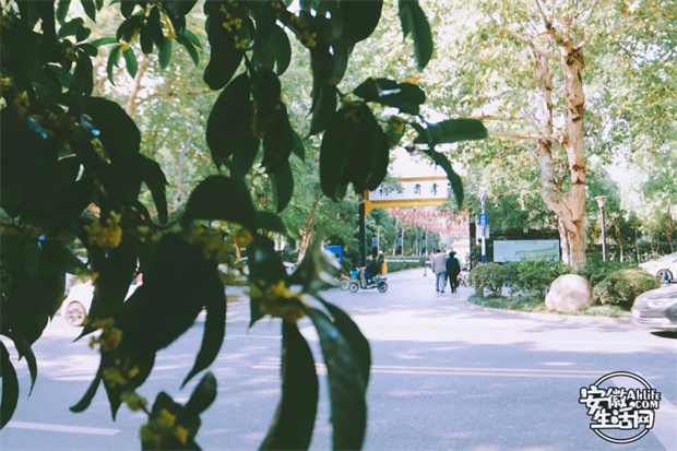 欧博abg - 官方网站登录入口