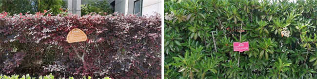 欧博abg - 官方网站登录入口