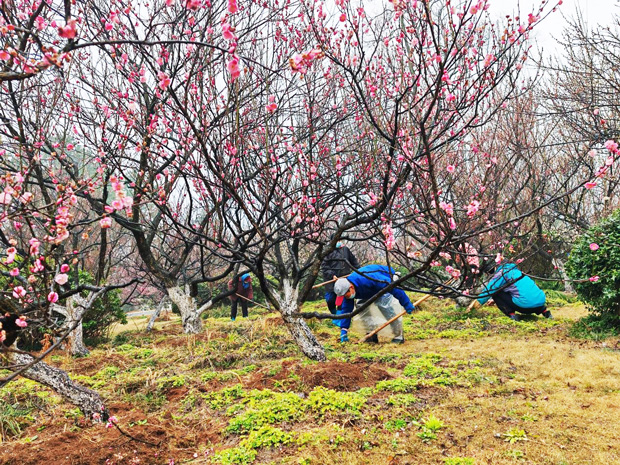 欧博abg - 官方网站登录入口