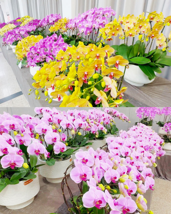 欧博abg - 官方网站登录入口