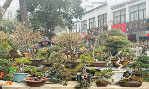 欧博abg - 官方网站登录入口