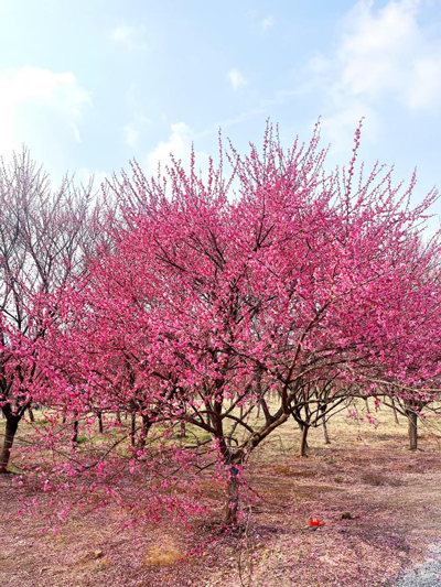 欧博abg - 官方网站登录入口