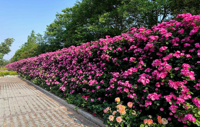 欧博abg - 官方网站登录入口